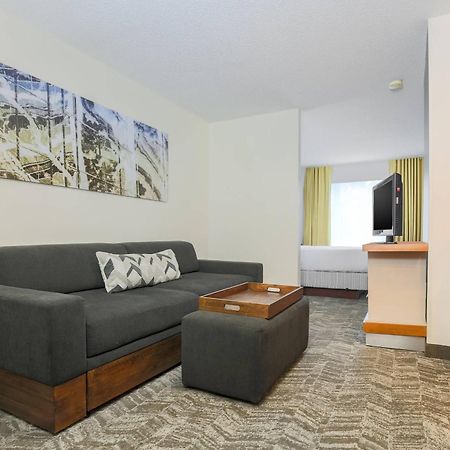 Springhill Suites By Marriott Houston Brookhollow Екстериор снимка